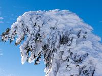 Schnee Figur mit gezacktem Kamm